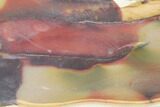 Mookaite Jasper Slab (Not Polished) - Australia #141576-1